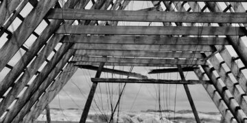 Zenlayer Launches Fabric Port in Singapore: Revolutionizing Global Digital Infrastructure – Devdiscourse