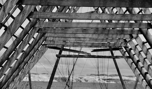 Zenlayer Launches Fabric Port in Singapore: Revolutionizing Global Digital Infrastructure – Devdiscourse