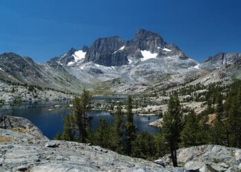 Garnett And Long Shine At Pro Pickleball Association Sansan Fukuoka Japan Open – Forbes