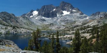 Garnett And Long Shine At Pro Pickleball Association Sansan Fukuoka Japan Open – Forbes