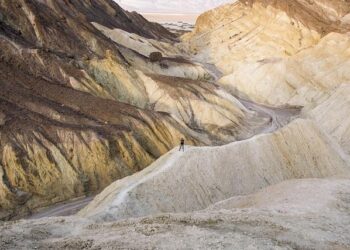 Worker’s death: Complaint filed against builder – The Times of India