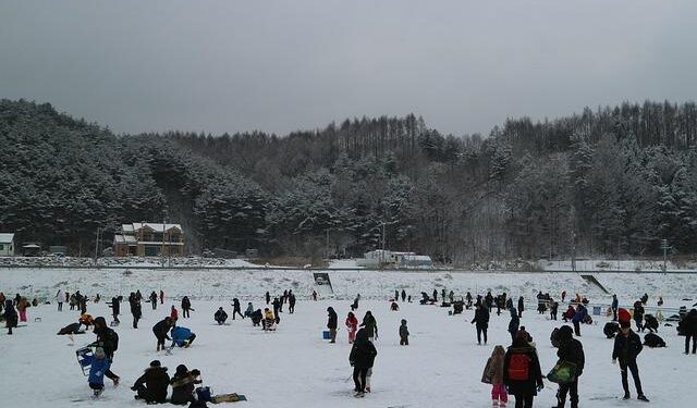 Harbin ice festival draws sculptors and spectators to northern China, in photos – WRAL