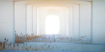 Bangabandhu tunnel: Expenditure much higher than income – Prothom Alo English