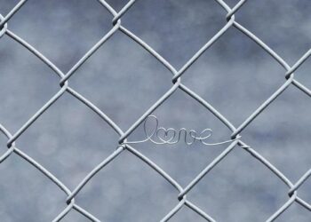 Ringing in 2026 around the world: Sydney, Australia welcomes their New Year – WRAL