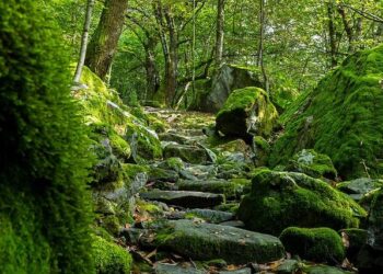 Audit Finds `Compliance Concerns’ at Val Verde Unified – MyNewsLA.com