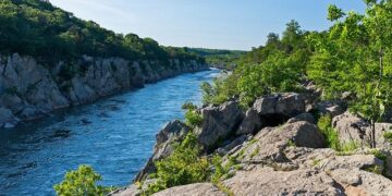 Montreal looking to move away from Band-Aid solutions to city’s pothole problem – CBC