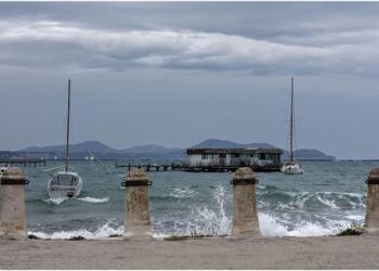 Mbalula slams external pressure’ as ANC rallies to defend democratic gains – EWN