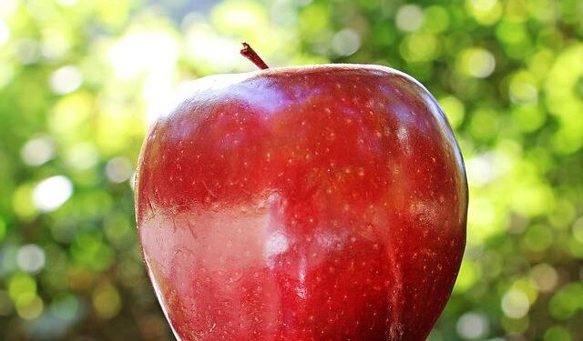 Buipe Paramount Chief calls on gov’t to support Northern Ghana-Kano trade – MyJoyOnline