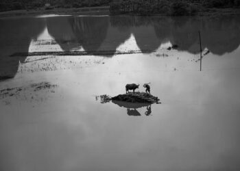 China floods: 12 dead in Zhengzhou train and thousands evacuated in Henan – BBC