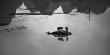 China floods: 12 dead in Zhengzhou train and thousands evacuated in Henan – BBC