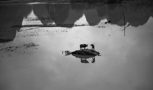 China floods: 12 dead in Zhengzhou train and thousands evacuated in Henan – BBC