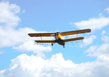 Mosquito control urged in Foshan as Chikungunya fever outbreak spreads – China Daily