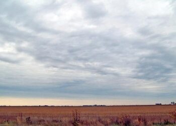 Slowing, Graying and in Debt, Can China’s Industrial Heartland Be Revived? (Published 2023) – The New York Times