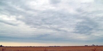 Slowing, Graying and in Debt, Can China’s Industrial Heartland Be Revived? (Published 2023) – The New York Times