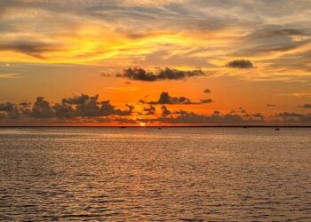 Orange sea as seen from Qingdao – China Daily