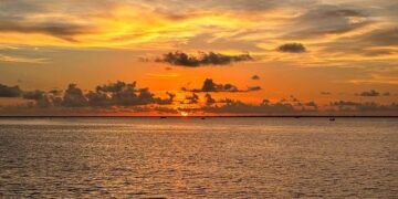 Orange sea as seen from Qingdao – China Daily