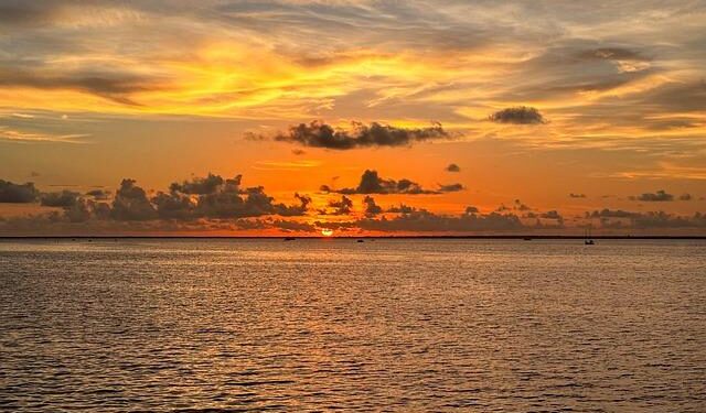 Orange sea as seen from Qingdao – China Daily