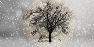 Lighting ceremony of New Year tree held in St. Petersburg, Russia – Xinhua