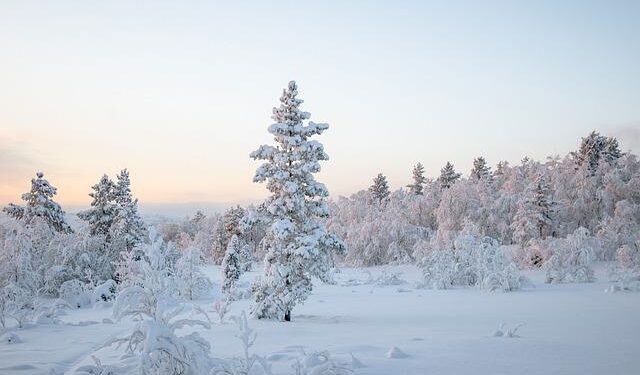 South Korea, Ukraine ministers agree North POWs will be handled according to humanitarian principles – Korea JoongAng Daily