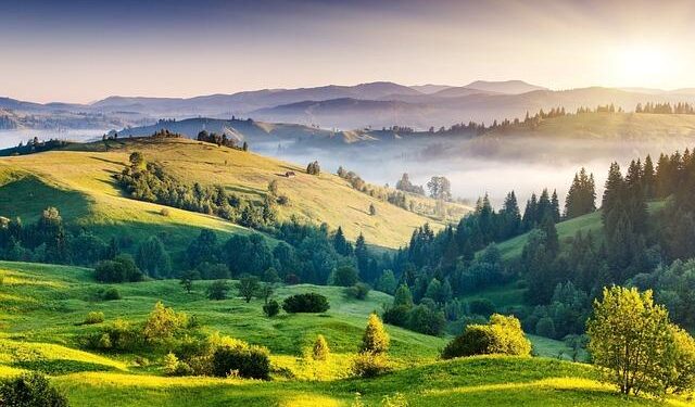 Tamil Nadu state board exams for classes VI-IX begin today – The Times of India