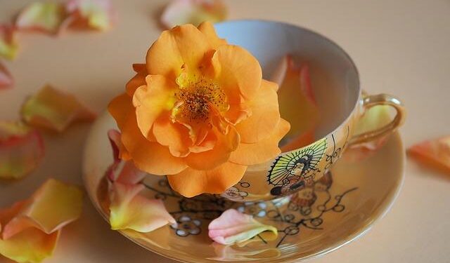 Blossoms Shandong – Sixth Tone