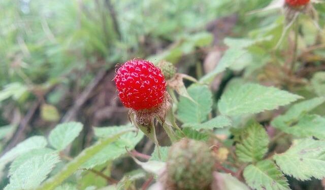 Guangzhou R&F Flags RMB16.6 Billion 2025 Loss as China Property Slump Persists – TipRanks