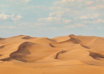 UAE’s tallest waterslide to open at Yas Waterworld Yas Island – whatson.ae