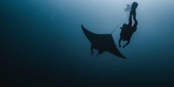 Manta Turns to China’s Shenyang Aviation To Advance VTOL/STOL Aircraft – Aviation International News