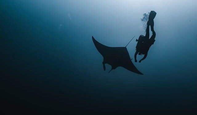 Manta Turns to China’s Shenyang Aviation To Advance VTOL/STOL Aircraft – Aviation International News