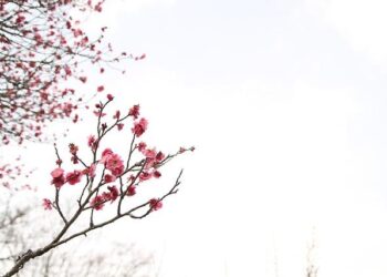 March in Buenos Aires: Plans to say goodbye to Summer – Time Out