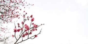 March in Buenos Aires: Plans to say goodbye to Summer – Time Out