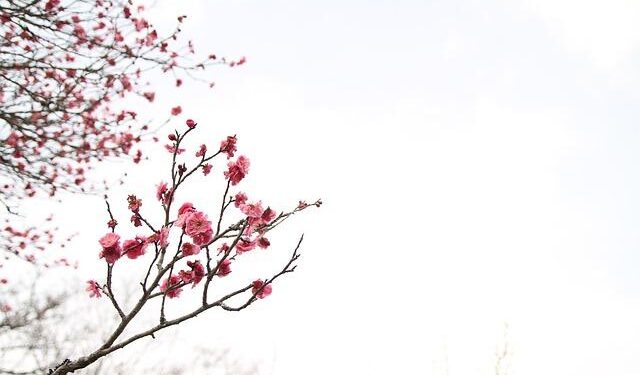 March in Buenos Aires: Plans to say goodbye to Summer – Time Out