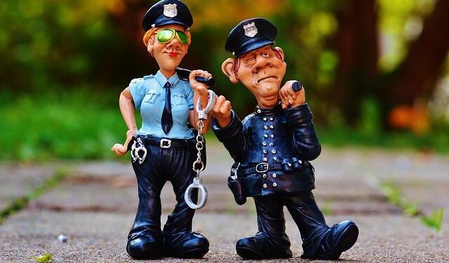 Raj cops, BSF bust heroin drone drop near border – The Times of India