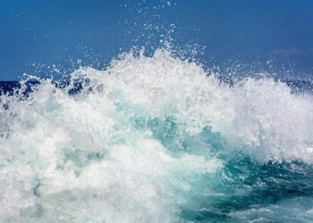 More than 200 are dead after Air India crash in Ahmedabad. 1 passenger has survived – Georgia Public Broadcasting