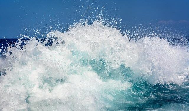 More than 200 are dead after Air India crash in Ahmedabad. 1 passenger has survived – Georgia Public Broadcasting