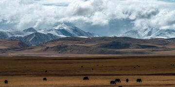 China’s Xinjiang hosts regional forum to boost Central Asia links, trade – Xinhua