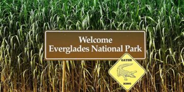 When Caution Becomes Habit: Colombia’s Bogota’s Path to Feel Safe Again – ColombiaOne.com