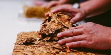 Tobacco Farming Increase Impacting Fish in Bangladesh – Tobacco Reporter