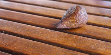 CM waterlogging – The Times of India