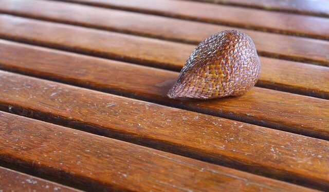 CM waterlogging – The Times of India