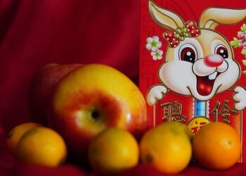 Concert held to celebrate Chinese New Year in St. Petersburg, Russia – People’s Daily Online