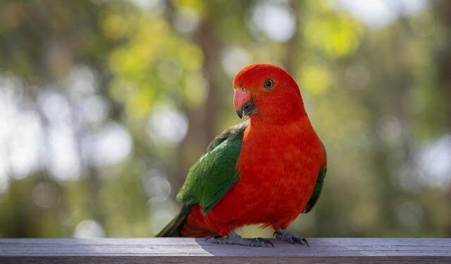 Why Punjab Kings Cricketers Are Wearing Black Armbands Against Sunrisers Hyderabad In IPL 2026? Know Reason – Outlook India