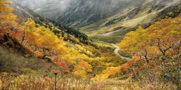 Chinese economic zone in Chittagong sees renewed momentum after a decade – Apparel Resources Bangladesh