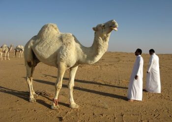 Saudi Arabia builds tradition at Diriyah, a $63 billion giga-project near Riyadh – The Architect’s Newspaper