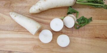 CU to review college infra for honours with research prog – The Times of India