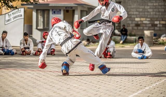 Taekwondo Premier League Season 2 Leg 1 concludes in Hyderabad – Telangana Today