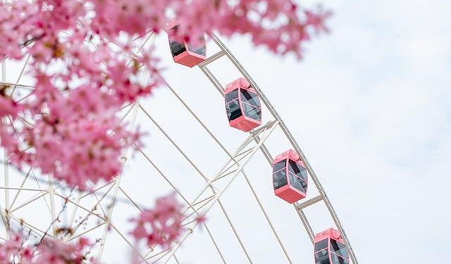 2026 Spring Festival travel rush begins with energy in Shijiazhuang – China Daily