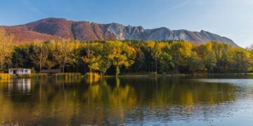 Louis Dreyfus Company Inaugurates New Specialty Feed Protein Production Line in Tianjin, China – Louis Dreyfus Company