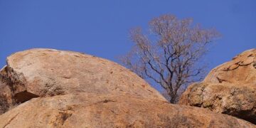 One survivor reported after Air India Dreamliner crashes in Ahmedabad with 242 people on board – EL PAÍS English