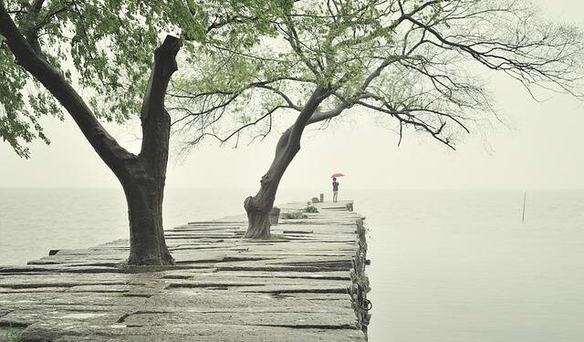 Live: Encounter the ancient and modern charms of Suzhou, Jiangsu Province – Ep.2 – news.cgtn.com